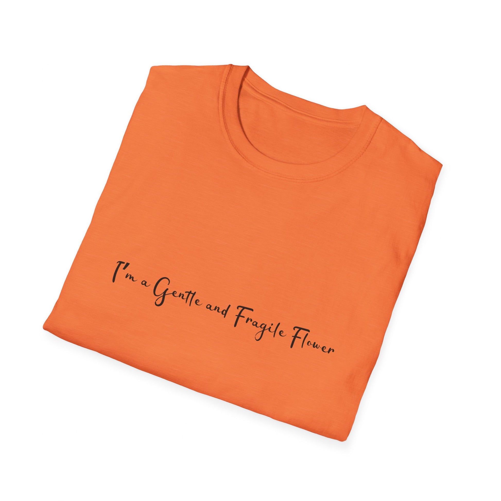 Fragile Flower Womens Relaxed/Plus Tshirt (FP Black Logo) - Sweet Baby Jeez Teez