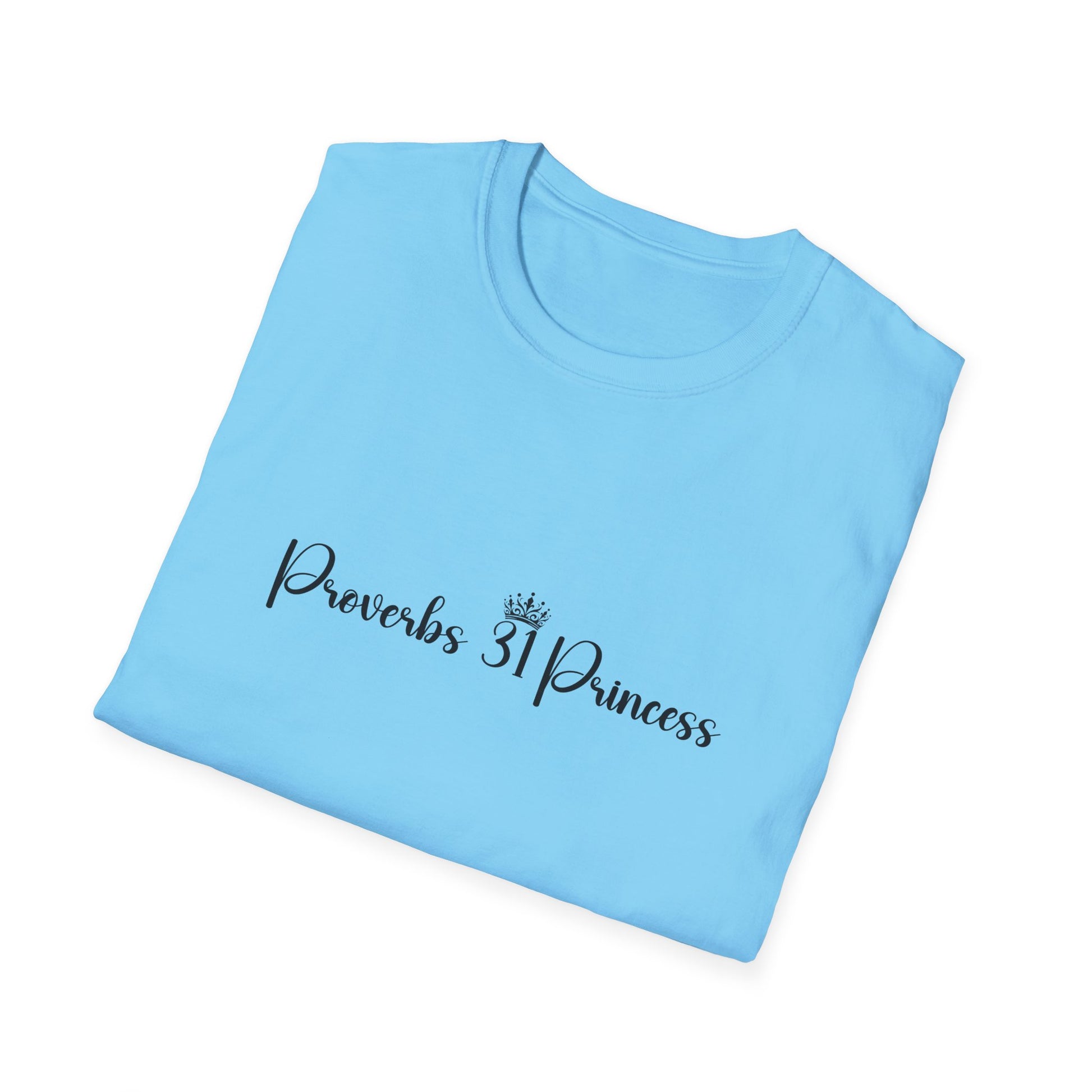 Proverbs 31 Princess Women's Relaxed/Plus Tshirt (Black Logo) - Sweet Baby Jeez Teez