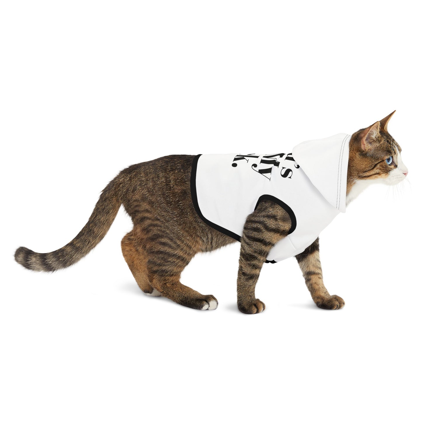 God's Got My Back Pet Hoodie (Black Logo) - Sweet Baby Jeez Teez
