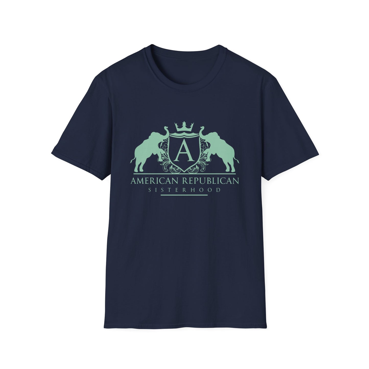 ARS Logo Women's Relaxed/Plus Tshirt (ARS - Mint Logo) - Sweet Baby Jeez Teez