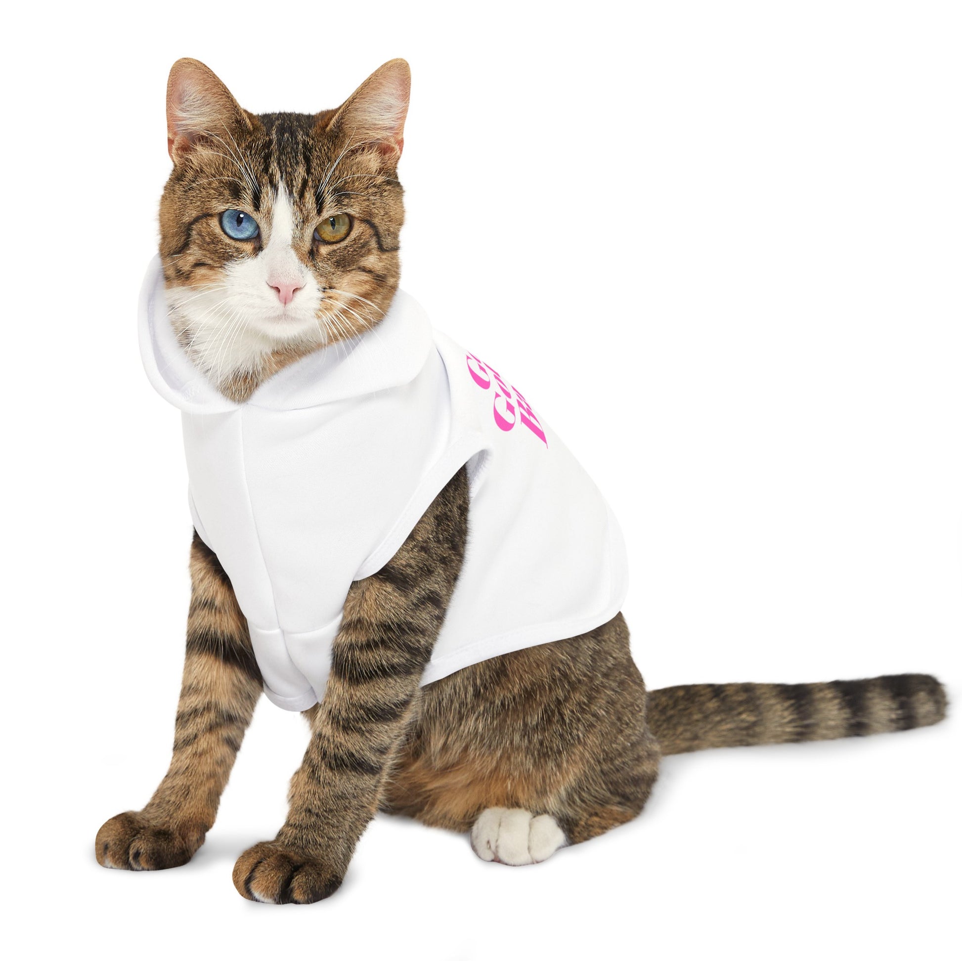 God's Got My Back Pet Hoodie (Pink Logo) - Sweet Baby Jeez Teez