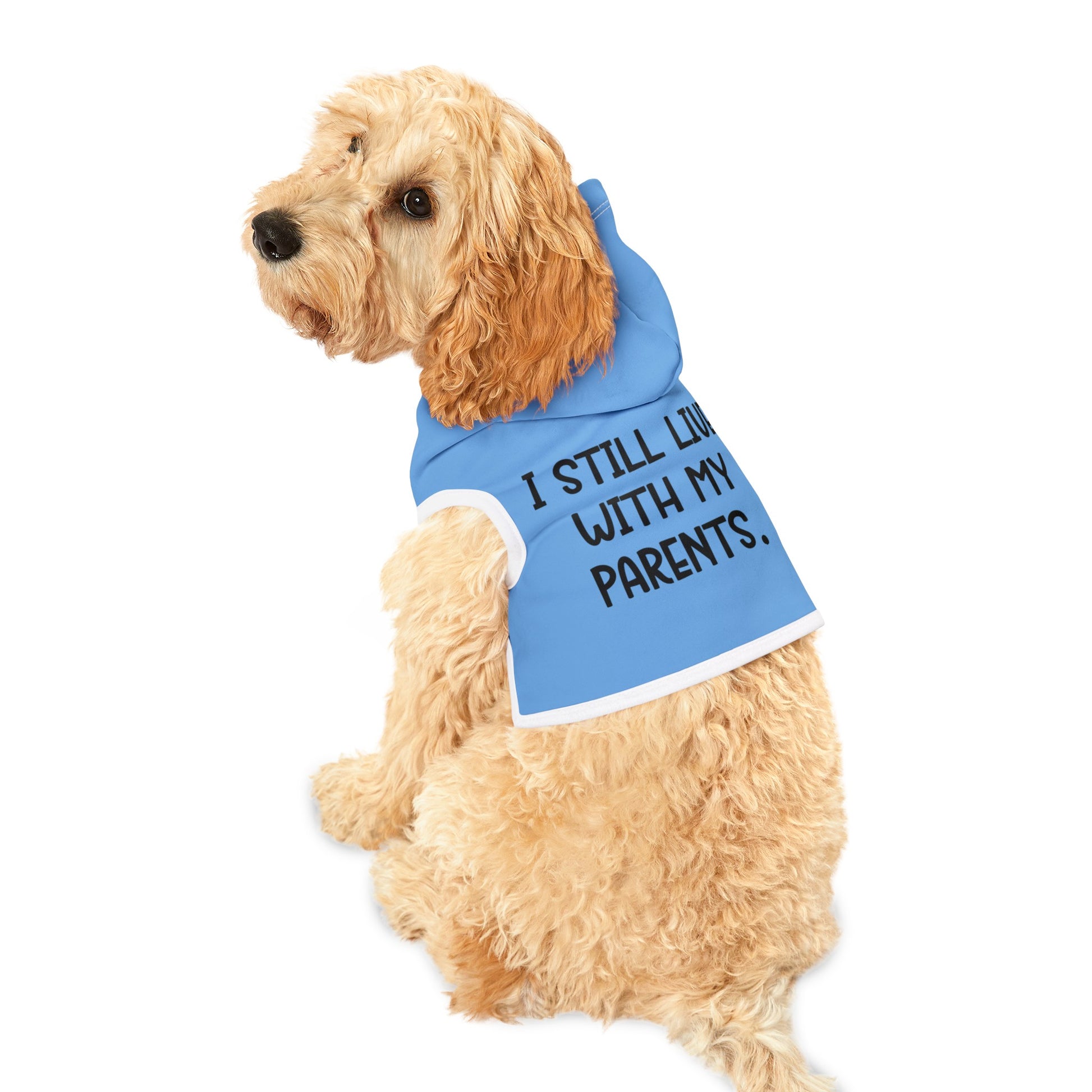Live with Parents Pet Hoodie, Blue (Black Logo) - Sweet Baby Jeez Teez
