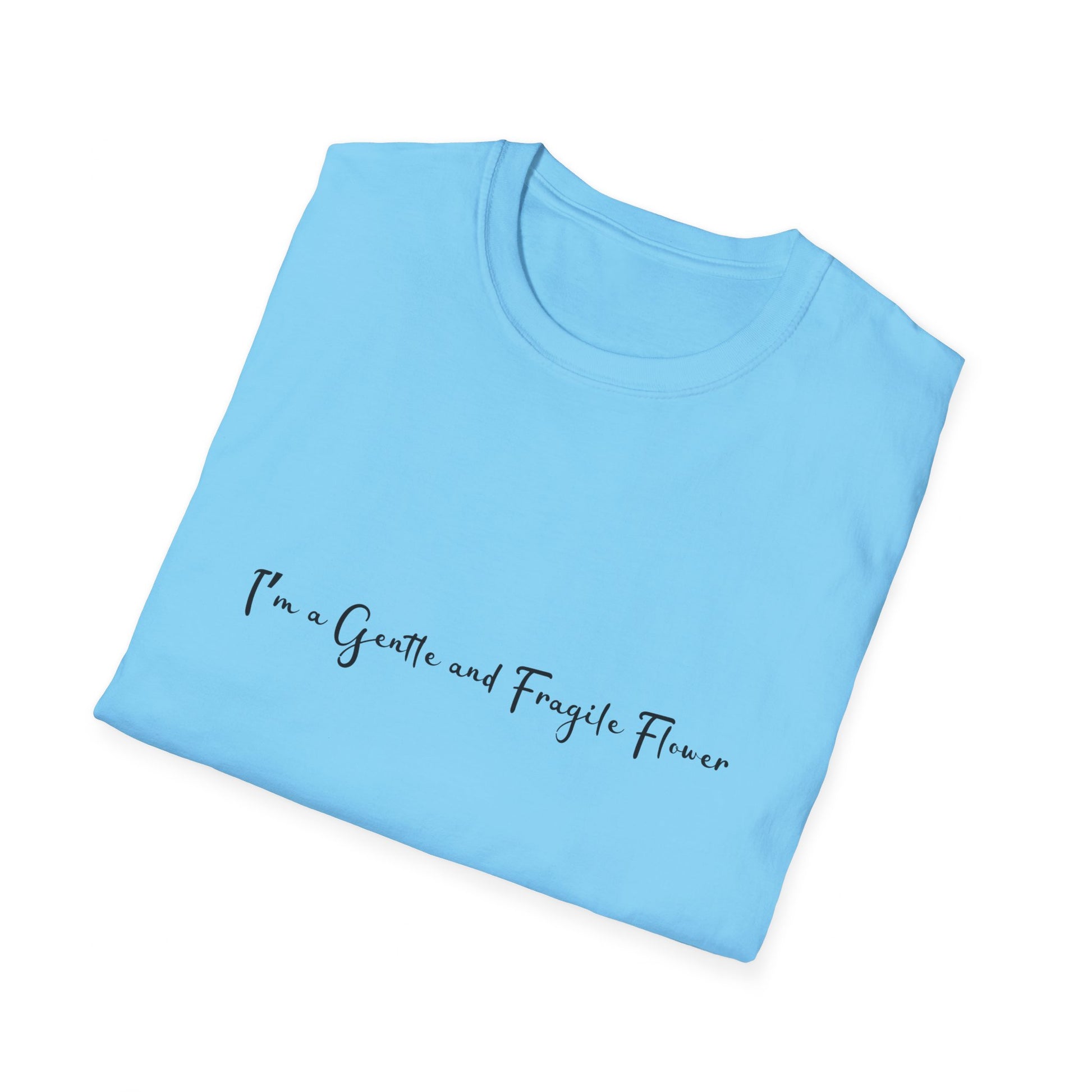Fragile Flower Womens Relaxed/Plus Tshirt (FP Black Logo) - Sweet Baby Jeez Teez