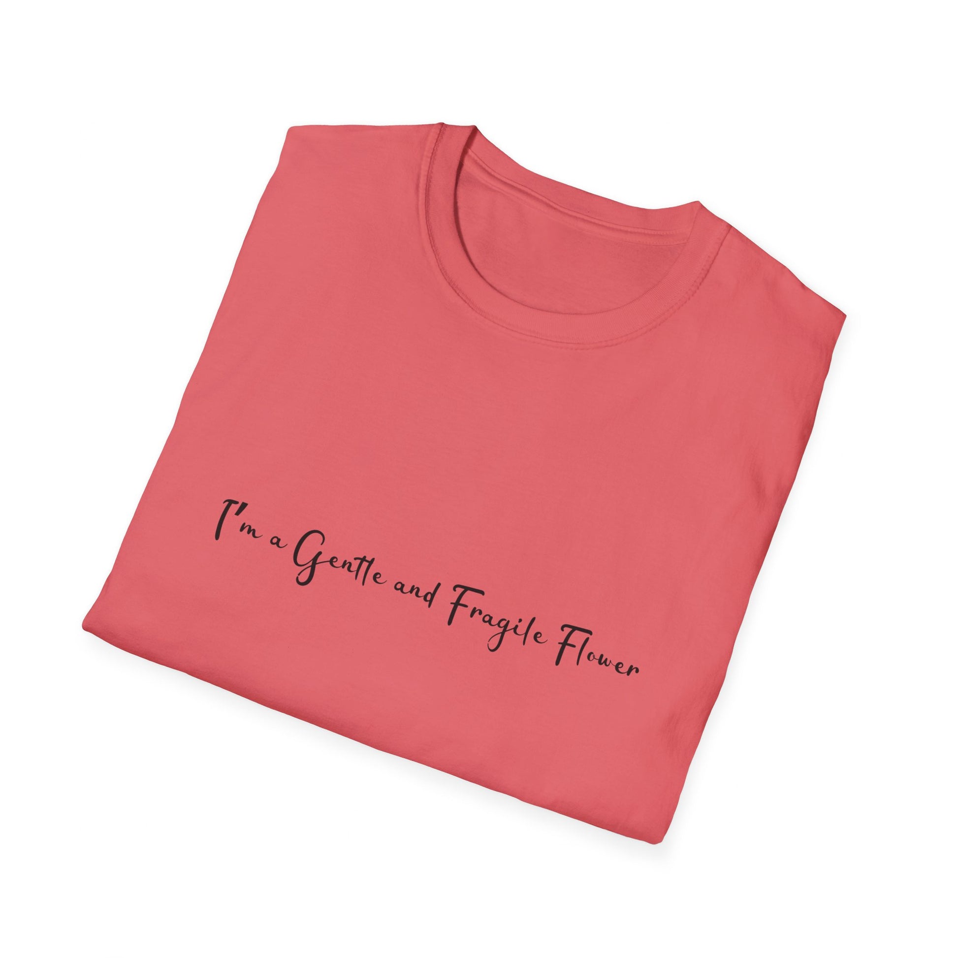 Fragile Flower Womens Relaxed/Plus Tshirt (FP Black Logo) - Sweet Baby Jeez Teez