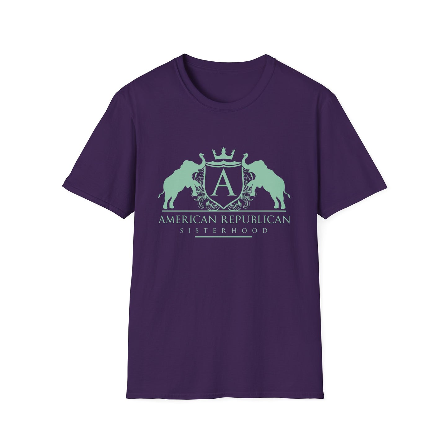 ARS Logo Women's Relaxed/Plus Tshirt (ARS - Mint Logo) - Sweet Baby Jeez Teez