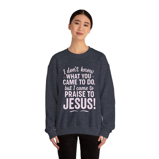 "Came to Praise Jesus" Unisex Heavy Sweatshirt (Light Pink Logo)