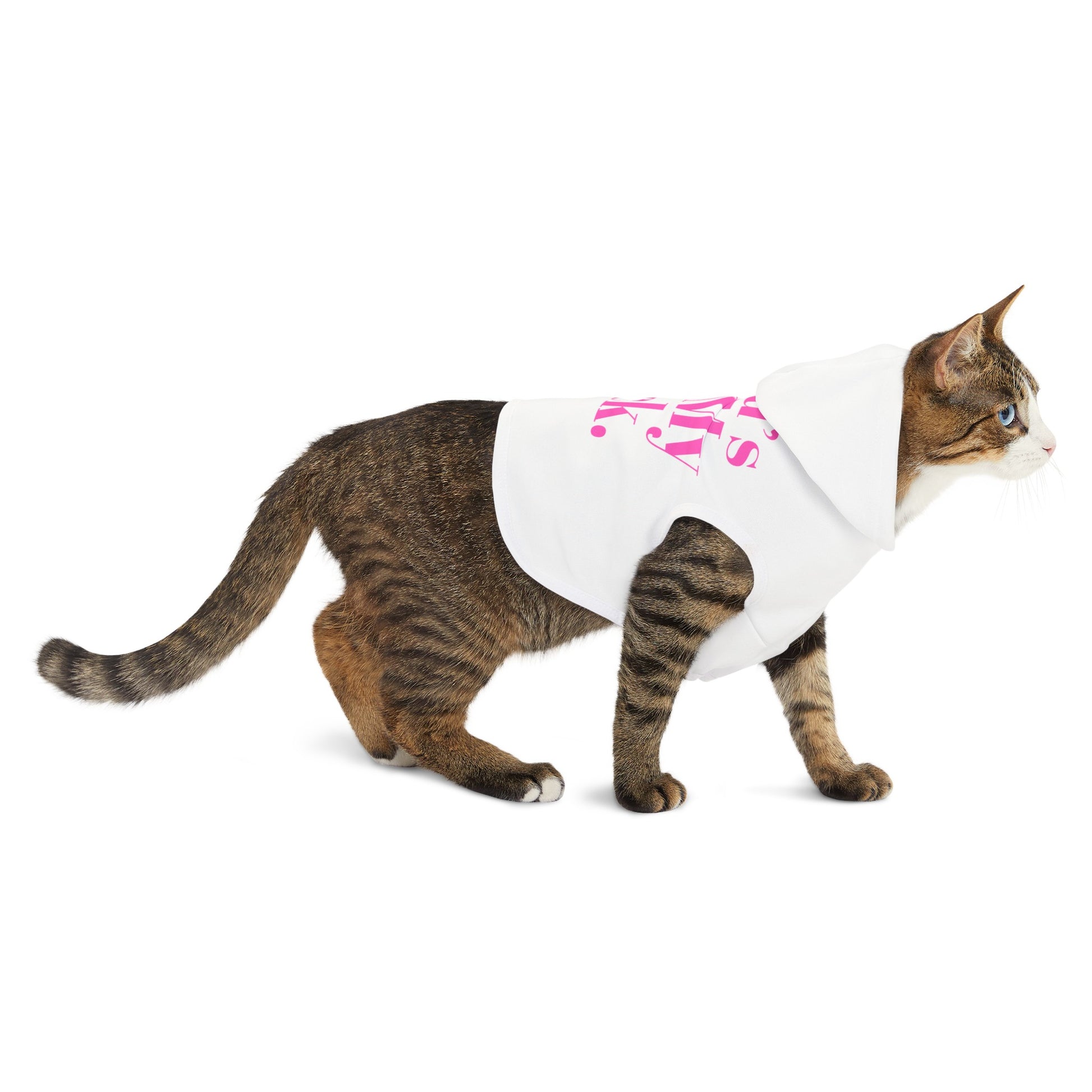 God's Got My Back Pet Hoodie (Pink Logo) - Sweet Baby Jeez Teez